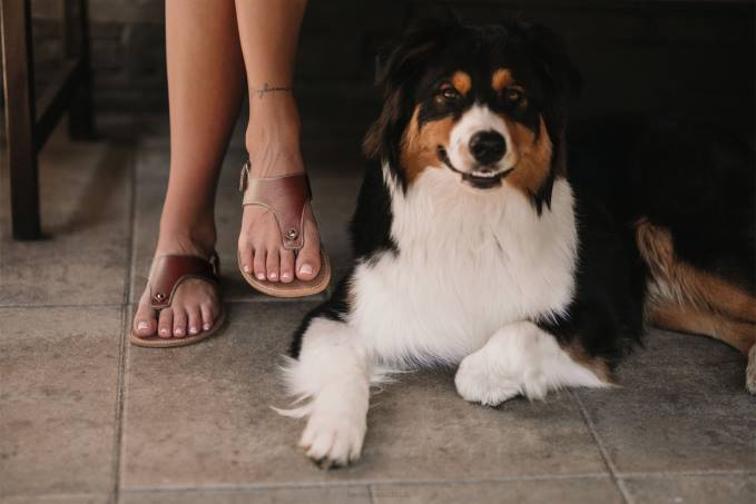 donne sandali a piedi nudi - passeggiata Marrone scuro Be Lenka 80JV148